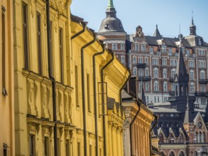 View of a row of historic buildings with yellow facades and roofs, detailed architecture in the
