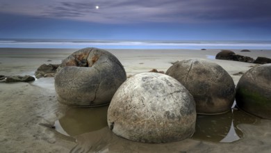 New Zealand, Moeraki Boulders, Otago, Moeraki, stone boulders, South Island, Neuseelamn, Oceania