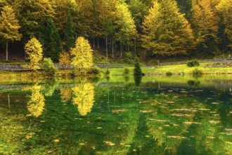 The quiet lake Lago de Fusine. Concept of cultural and ecological tourism. High water after a rain.