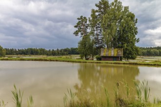 In the east of the district of Tirschenreuth lies a unique pond area, the Tirschenreuther