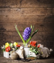 Garden tools for flowers over wooden background
