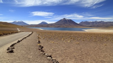 Laguna Miscanti in the Atacama Desert in Chile