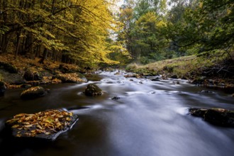 Autumn magic on a river landscape in Lusatia - the Löbauer Wasser 8