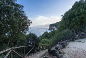 Narrow beach access leading to a secluded beach through forest on the rugged east coast of Sardinia