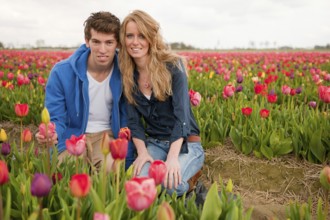 Couple Dutch tourists are plucking tulips in the flower fields
