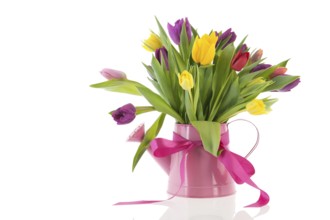 Watering can with colorful bouquet birthday tulips in spring