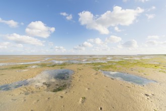 Mudflat or shallow at Dutch wadden sea near Terschelling