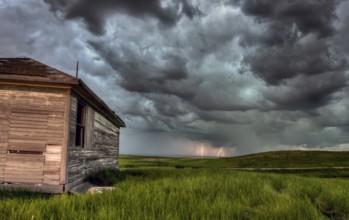 Sunset nad durum wheat crop storm clouds