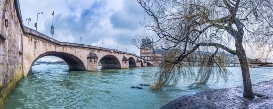 Cloudy day in Paris with a willow on the shore of the Seine River and the bridge Pont Royal, in
