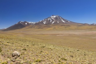 Atacama Desert, Chile. Salar Aguas Calientes. Lake Tuyacto. South America