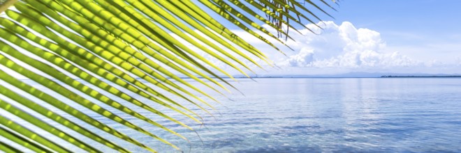 Belize, a tropical paradise in Central America. Web banner in panoramic view, Central America
