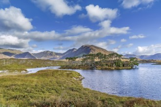 Landscape with lake from Pines Island Viewpoint in Galway county, Ireland, Europe