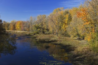 Nature, riverscape in autumn, Province of Quebec, Canada, North America