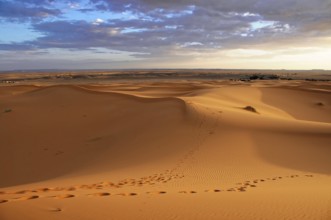 Endless sand dune landscape with footprints in the soft desert sand, sand dunes of Erg Chebbi,