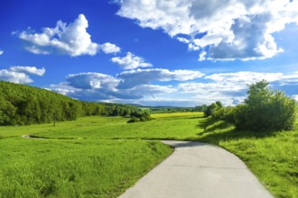 Field path in the central Hessian landscape in summer