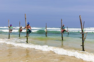 Stilt fishermen, Weligama, Matara District, Southern Province, Sri Lanka, Asia