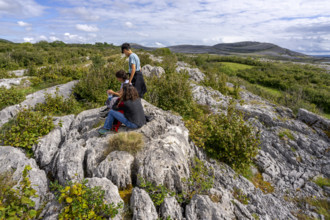 Burren National Park, The Burren, County Clare, Ireland, United Kingdom, Europe