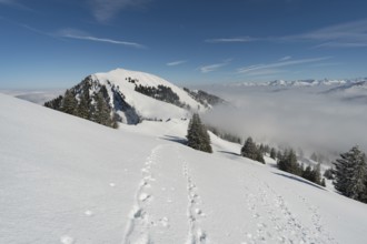 Fantastic snowshoe tour on the Hochgrat at the Nagelfluhkette in Allgau, Bavaria