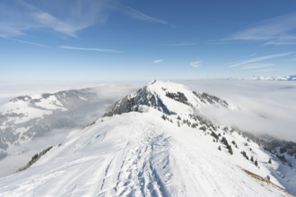 Fantastic snowshoe tour on the Hochgrat at the Nagelfluhkette in Allgau, Bavaria