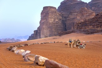 Jordan, camels caravan rests in majestic Wadi Rum desert, Valley of the Moon. Landscape with