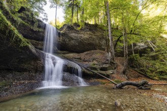 A waterfall in a dense forest with tall trees and moss-covered rocks that create a peaceful scene,