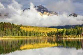 Jasper National Park in the Rocky Mountains of Canada. Patricia Lake. Yellow and orange autumn