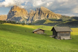 Langkofel Group at Seiser Alm, South Tyrol, Italy, Europe