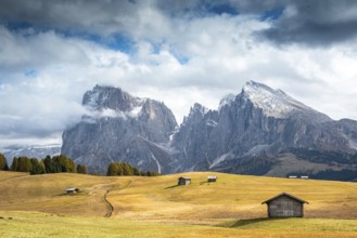 Landscape with beautiful autumn meadow field and the amazing Dolomite rocky peaks the valley of