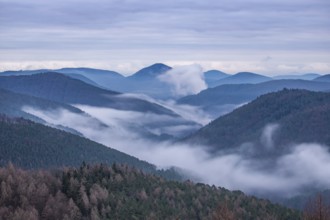 Landscape shot with cloudy sky and fog in the valley. View from a rock in the middle of forest and