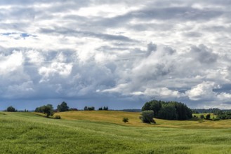 Masuria