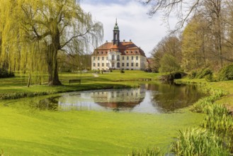 Reinhardtsgrimma Castle in spring, Reinhardtsgrimma, Saxony, Germany, Europe