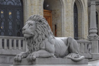 Magnificent stone lion statue in front of a historic building, oslo, norway