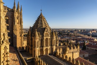 Exterior view of the dome of the Old Cathedral of Salamanca a blue sky day. Castilla y Leon, Spain,