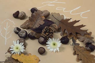 Autumn fall leaves frame on craft paper. Autumn fall flat lay. Decorative autumn flat lay