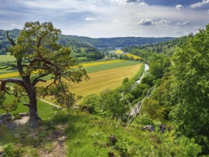 View over the Altmuehltal valley from a rock formationcalled twelve apostles