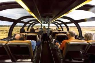 View from the window of a moving train with flowery landscape
