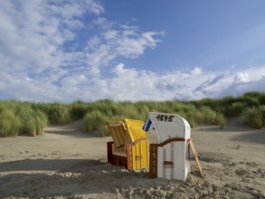 Two beach chairs, yellow and white, on a sunny sandy beach with grassy dunes and blue sky, juist,
