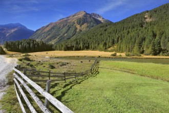 Rural idyll. Headwaters National Park Krimml waterfalls. Farm fields separated from the dirt road