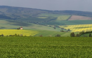 Rural abstract landscape with rolling hills and windmill in South Moravia, Czech Republic, Europe
