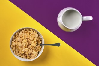 Food, healthy eating, people and diet concept. Bowl with corn flakes, jug of milk and spoon on