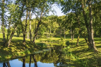 Beautiful Landscape of Manor Park Gardens and Reservoir