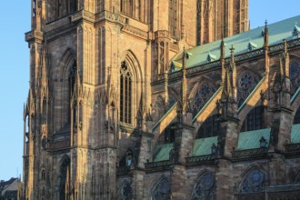 Cathedral Cathedrale Notre-Dame in Gothic style, seen from the Place du Chateau, Strasbourg old