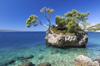 Croatian beach at a sunny day, Brela, Croatia, Europe