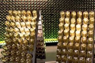 Rüdesheim, sparkling wine cellar