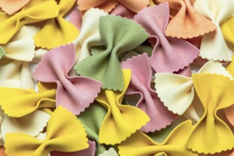 Close-up of colourful Italian butterfly pasta