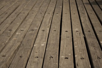 Hard wood floor, Wooden texture background