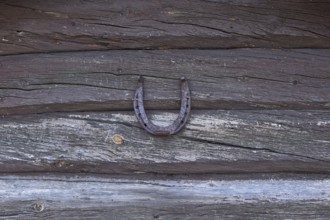 Closeup of old rusty horseshoe hanging on log wall