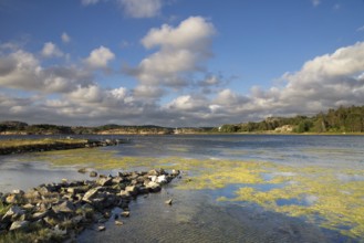 Nice evening light at the coast near the Swedish village Havstenssund in the province Bohuslan