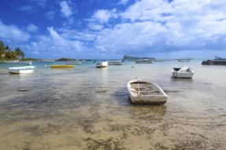 Beach, Beach, Cap Malheureux, North coast, Indian Ocean, Island, Mauritius, Africa