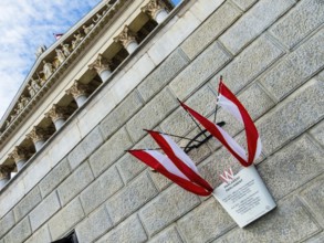 The Austrian Parliament in Vienna. Seat of the Austrian government